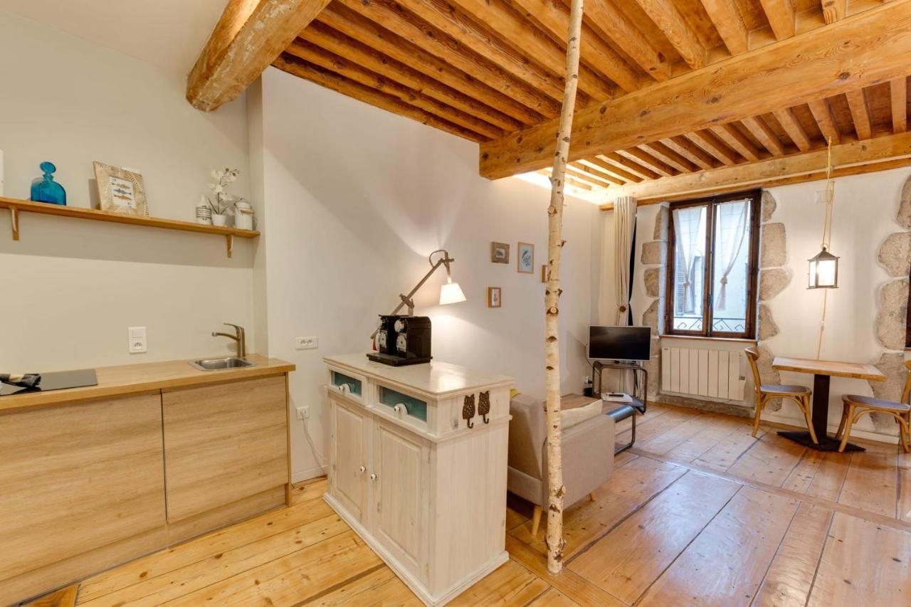 La Cour Filaterie - Suite Of 30 Sq M In The Annecy Breakfast Included Exterior foto